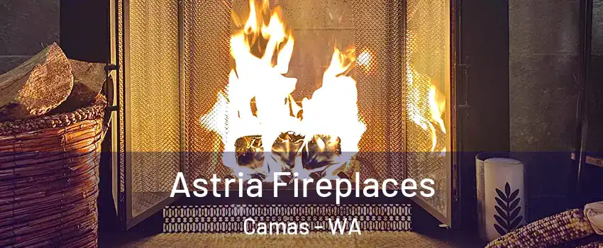  Astria Fireplaces Camas - WA