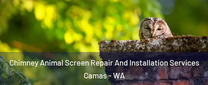  Chimney Animal Screen Repair And Installation Services Camas - WA