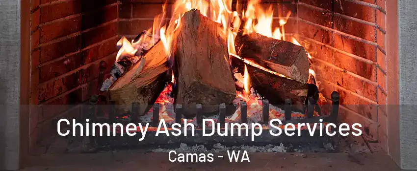  Chimney Ash Dump Services Camas - WA