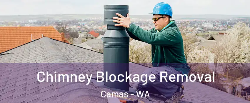  Chimney Blockage Removal Camas - WA