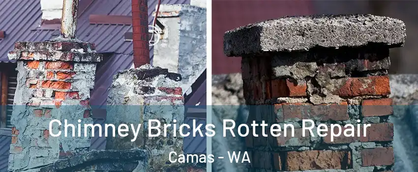  Chimney Bricks Rotten Repair Camas - WA