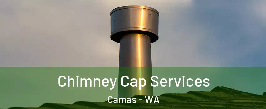  Chimney Cap Services Camas - WA