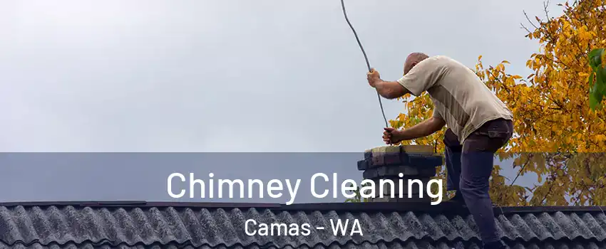  Chimney Cleaning Camas - WA