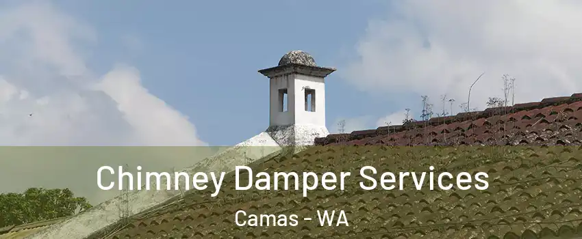  Chimney Damper Services Camas - WA