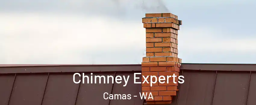  Chimney Experts Camas - WA