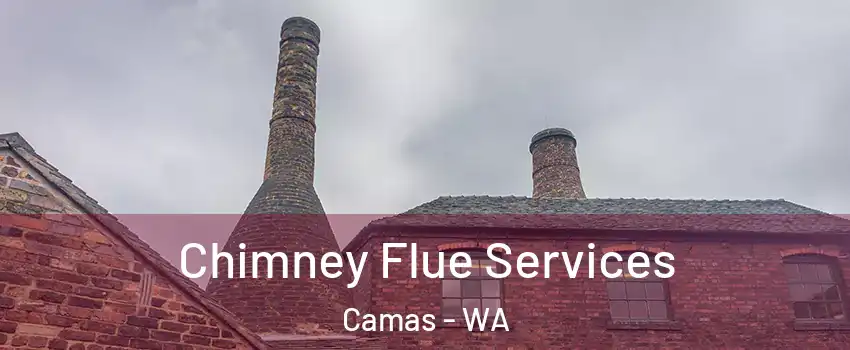  Chimney Flue Services Camas - WA