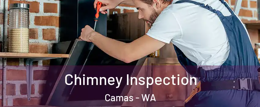  Chimney Inspection Camas - WA
