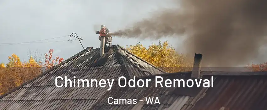  Chimney Odor Removal Camas - WA