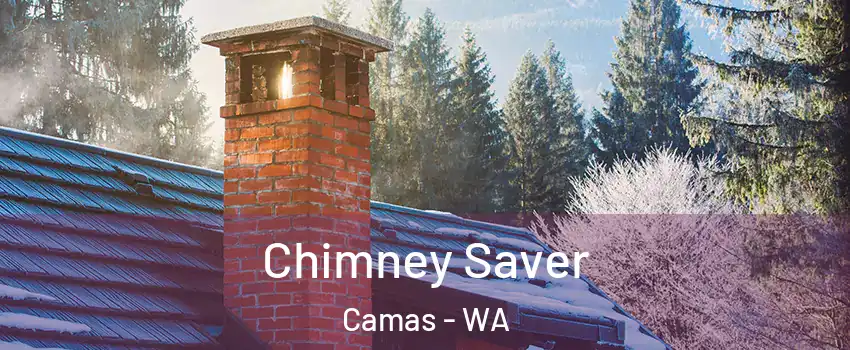  Chimney Saver Camas - WA