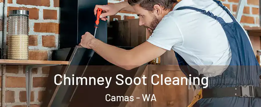 Chimney Soot Cleaning Camas - WA