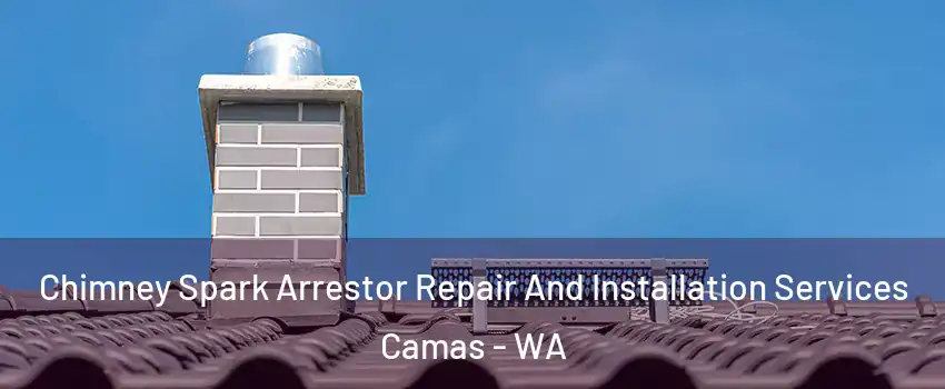  Chimney Spark Arrestor Repair And Installation Services Camas - WA