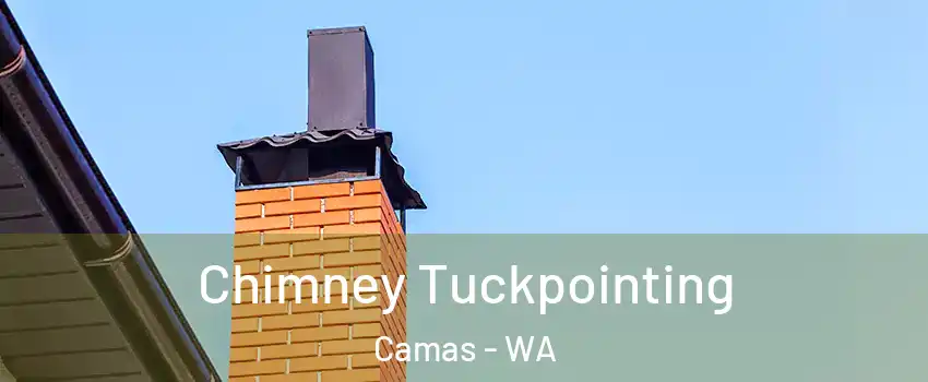  Chimney Tuckpointing Camas - WA
