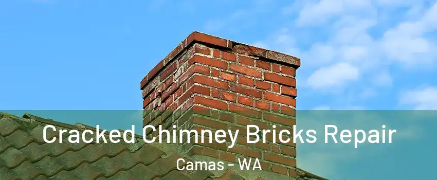  Cracked Chimney Bricks Repair Camas - WA
