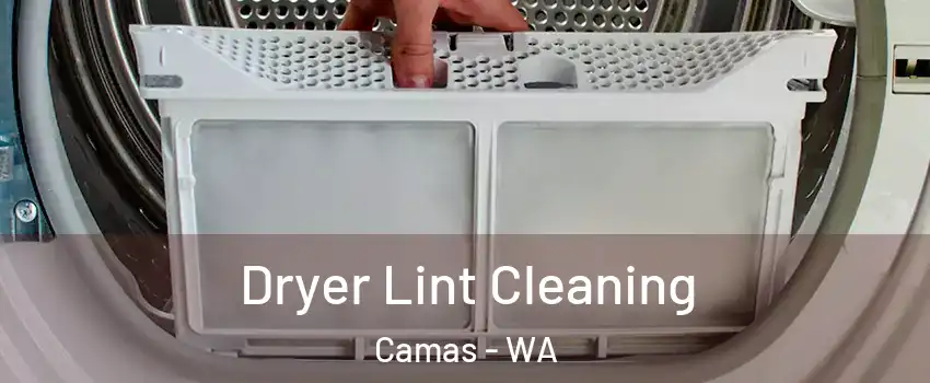  Dryer Lint Cleaning Camas - WA