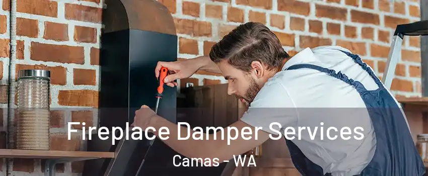  Fireplace Damper Services Camas - WA