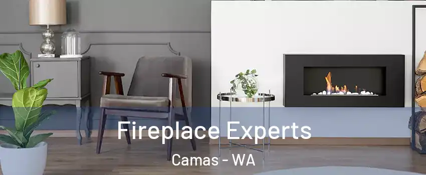  Fireplace Experts Camas - WA