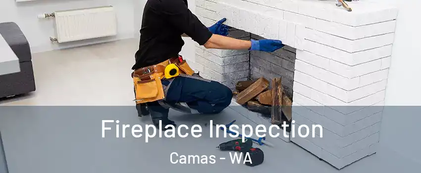  Fireplace Inspection Camas - WA