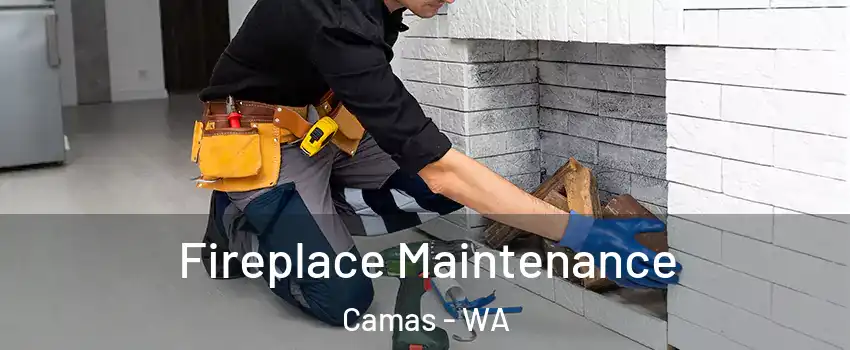 Fireplace Maintenance Camas - WA