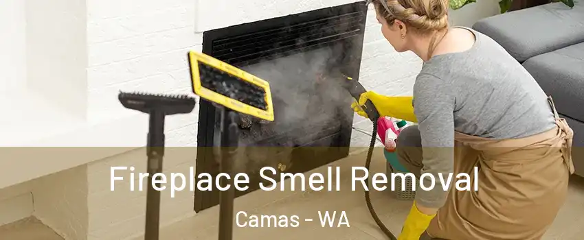  Fireplace Smell Removal Camas - WA