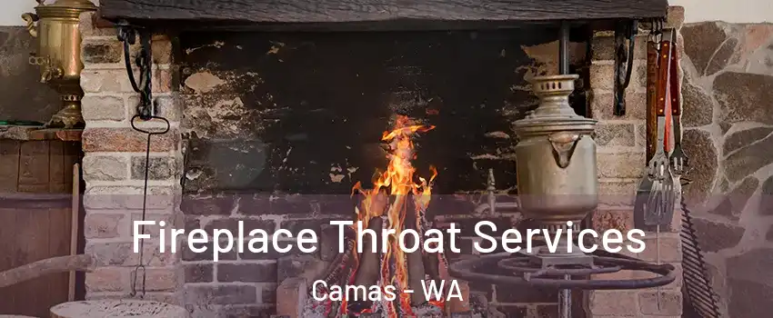  Fireplace Throat Services Camas - WA