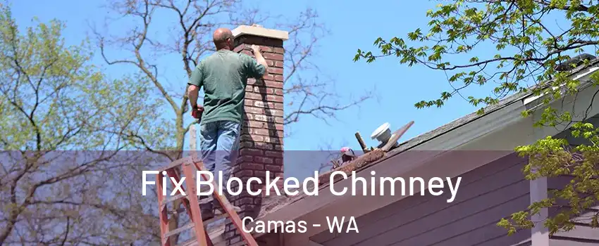  Fix Blocked Chimney Camas - WA