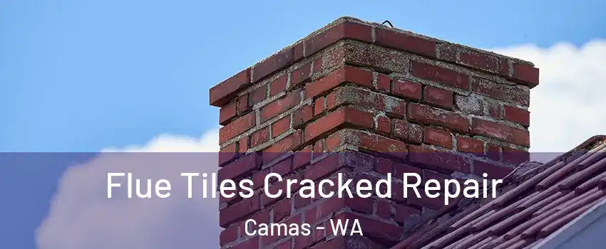  Flue Tiles Cracked Repair Camas - WA