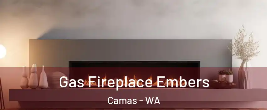  Gas Fireplace Embers Camas - WA