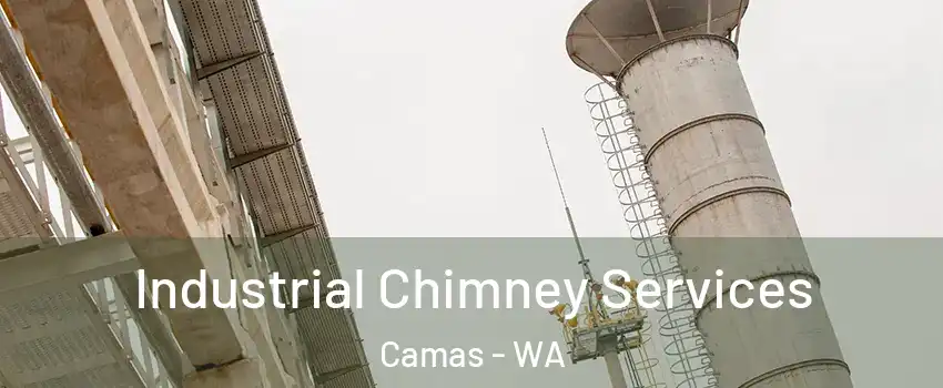  Industrial Chimney Services Camas - WA