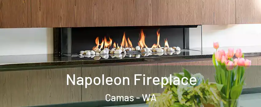  Napoleon Fireplace Camas - WA