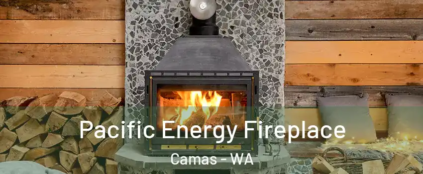  Pacific Energy Fireplace Camas - WA