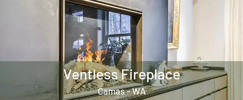  Ventless Fireplace Camas - WA